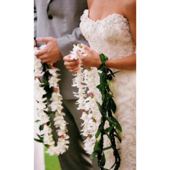 Midgley Sottero Ettiene - Picture 3 of 12